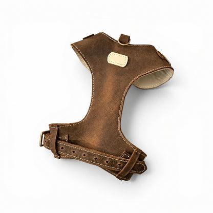 "Amelia" Whisky Australian leather dog harness