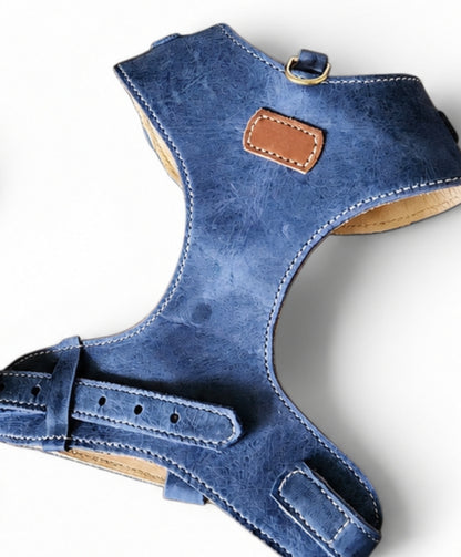 "Amelia" Blue Australian leather dog harness