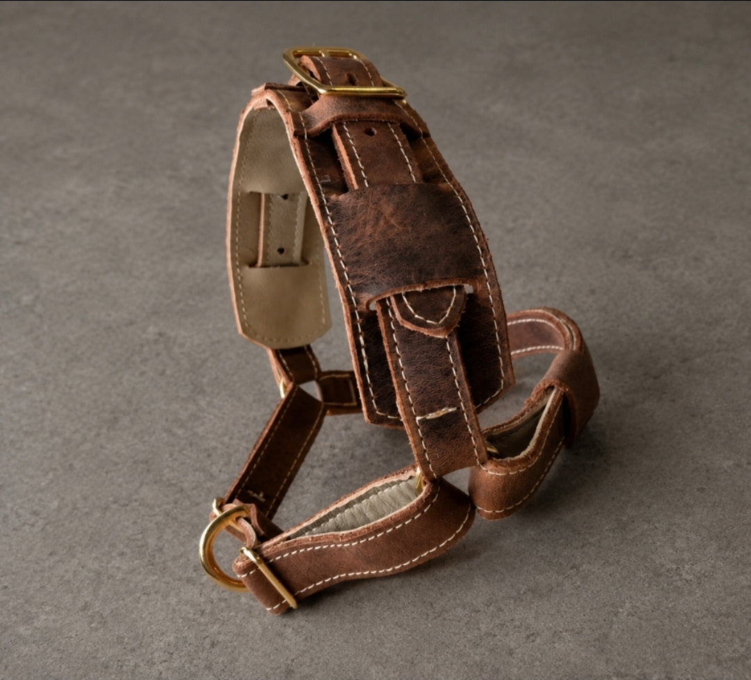 No Pull Leather Harness