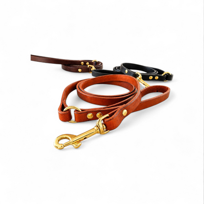 Light weight brass leashes perfect for small breeds