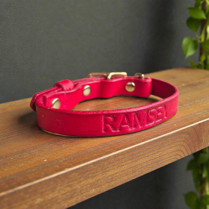 Country style dog collars with rectangle buckle