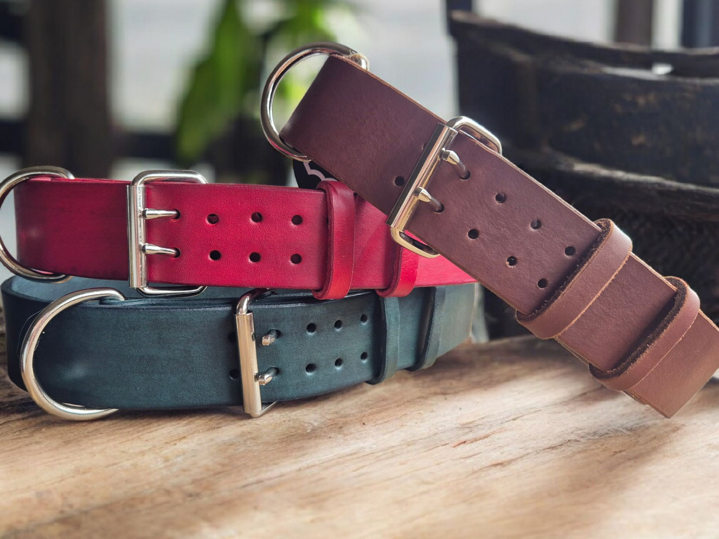 5cm wide leather dog collar