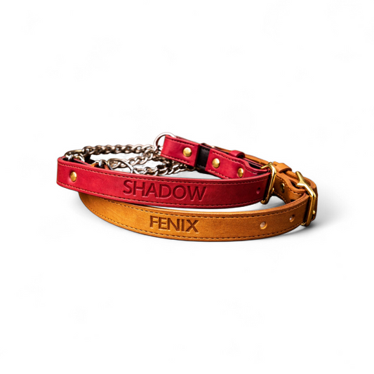 Lined Leather Martingale collars