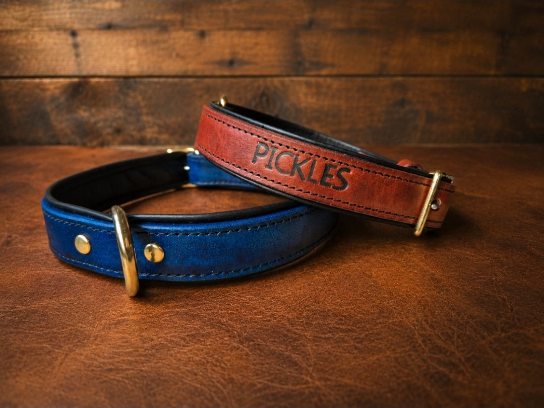 25mm Middle d ring leather dog collars