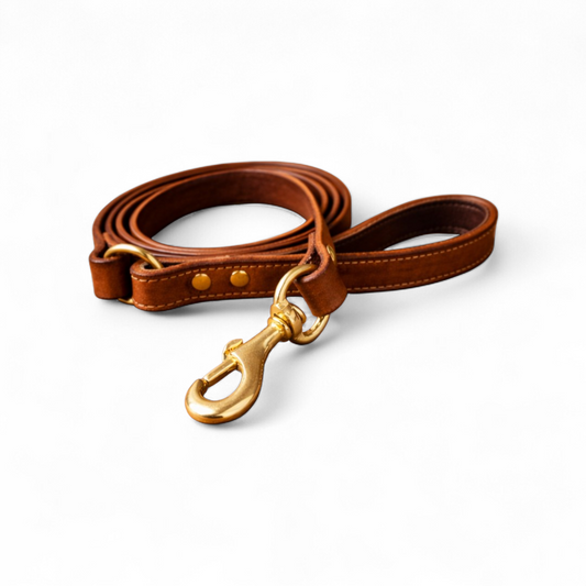 Leather dog leashes