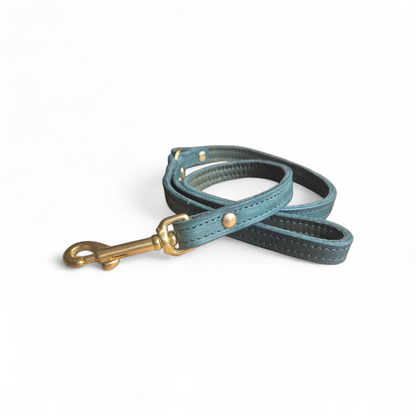 Leather dog leashes