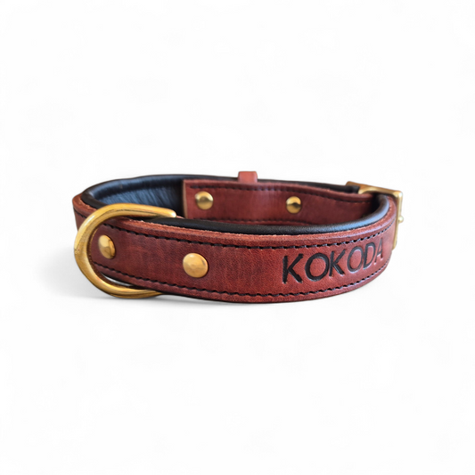 25mm Middle d ring leather dog collars