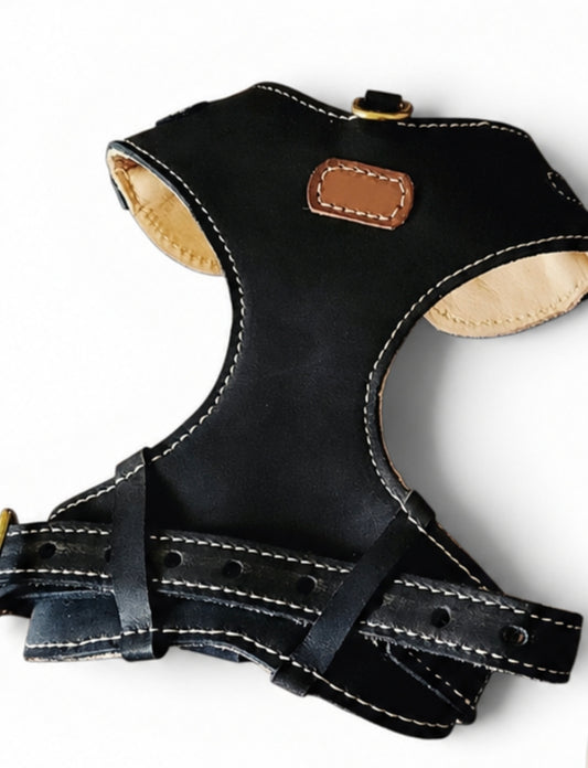 Amelia Black Dog Harness