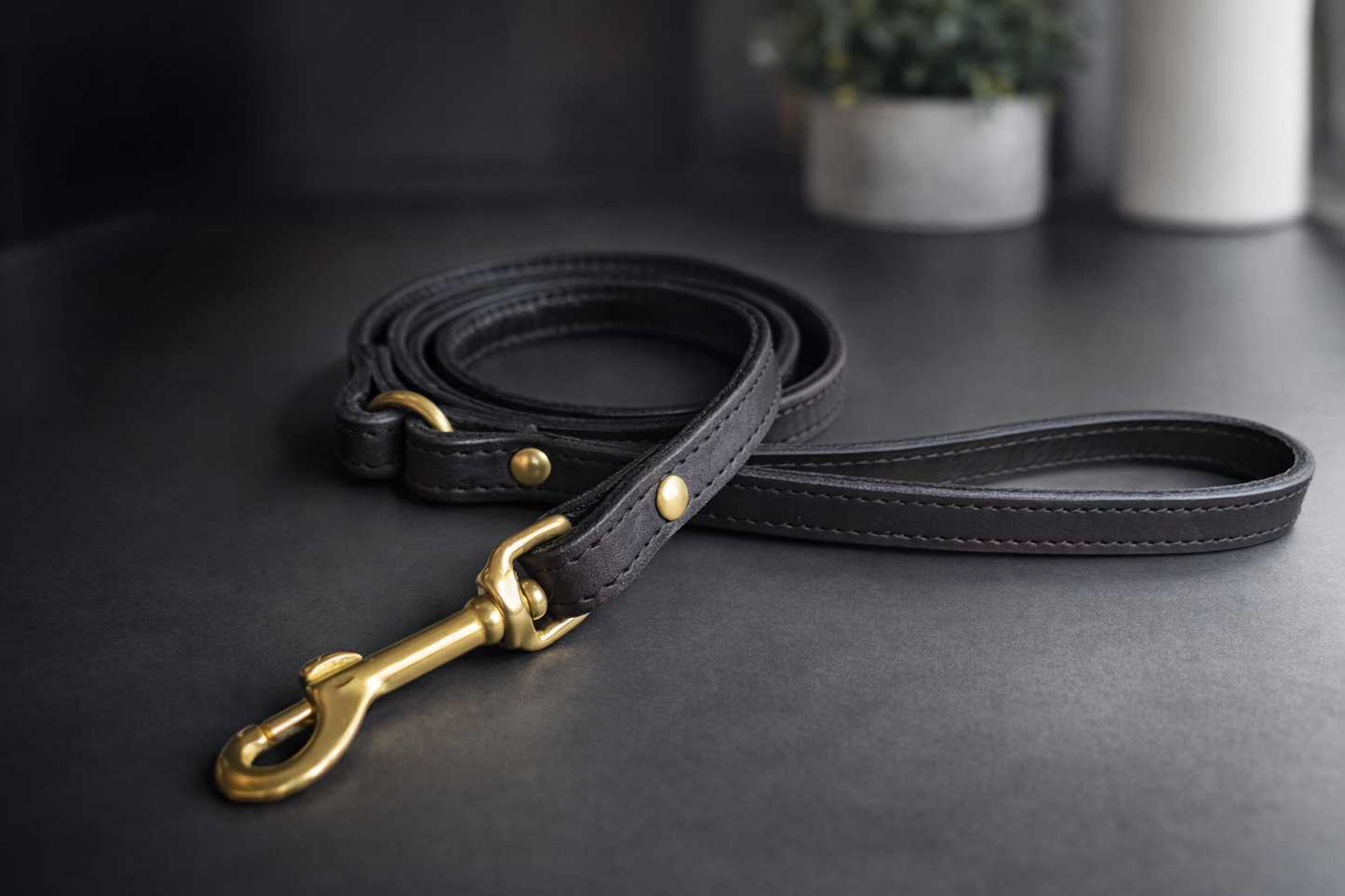 Leather dog leashes
