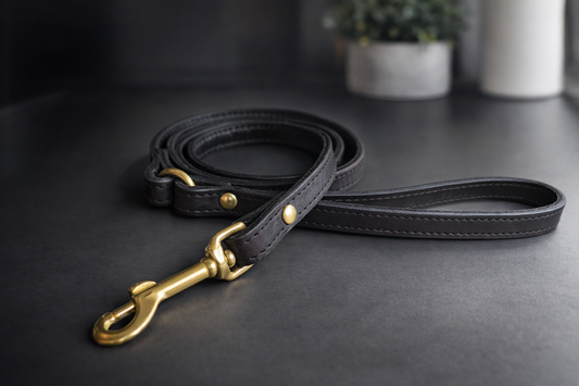 Leather dog leashes
