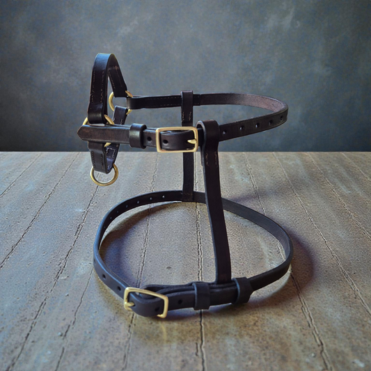 Full head with neck collar Sheep halters