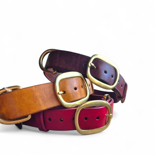The working or larger, leather dog collar in brass swage buckles