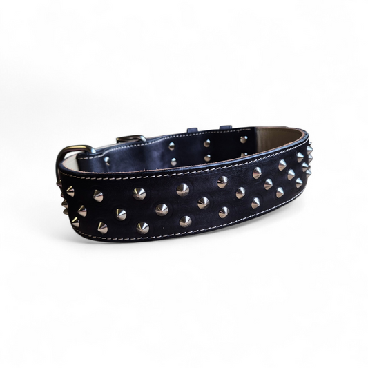 Studded 2 INCH wide collars