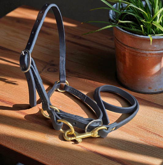 Easy lead Sheep halters and 1m lead