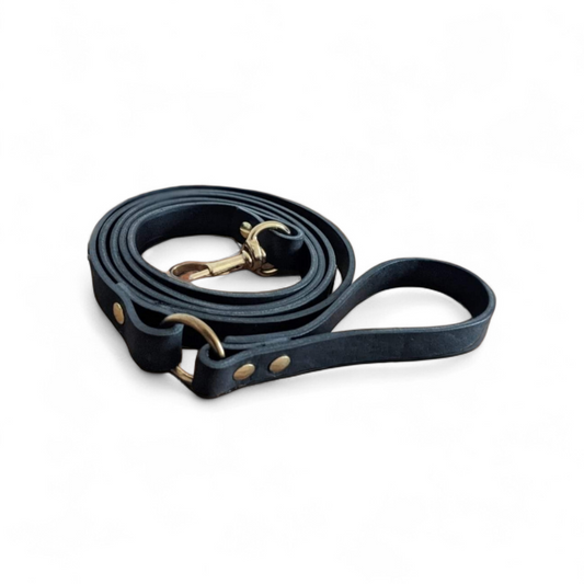 2 meter long leashes