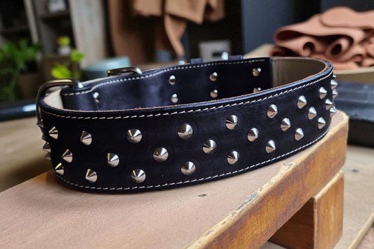 Studded 2 INCH wide collars