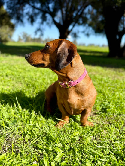 Pink 16mm country style dog collars