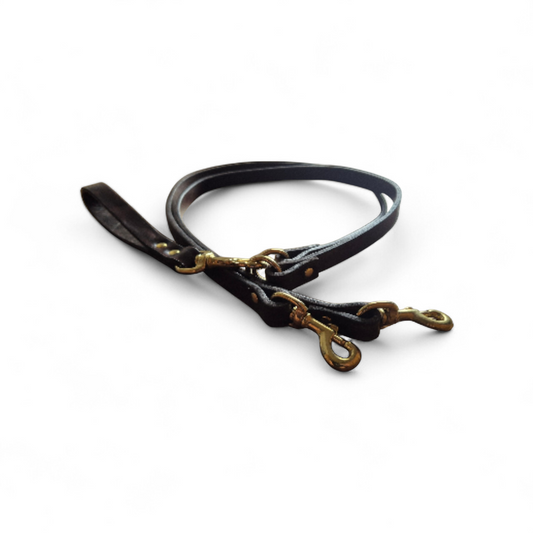 Double leash