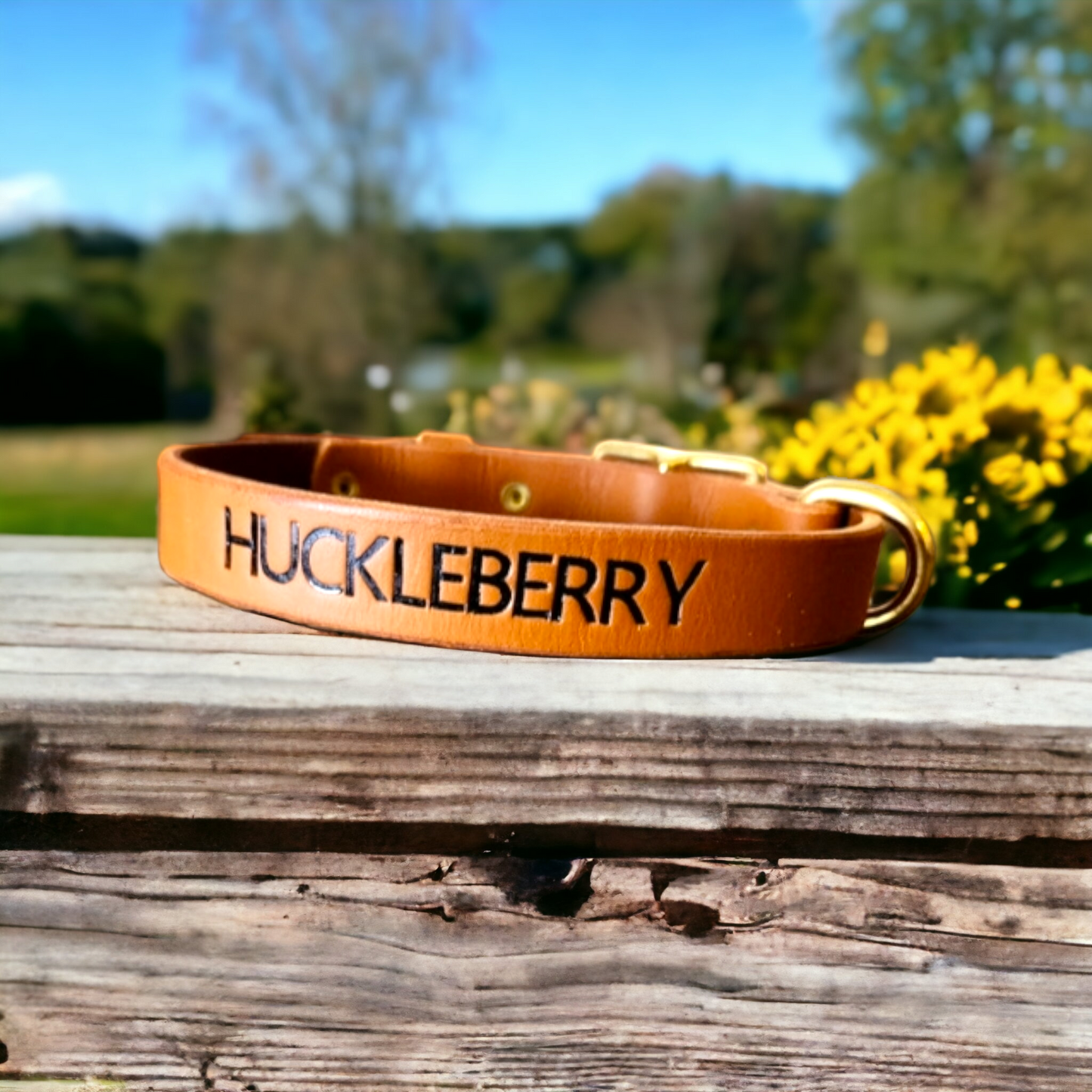 Country style dog collars with rectangle buckle