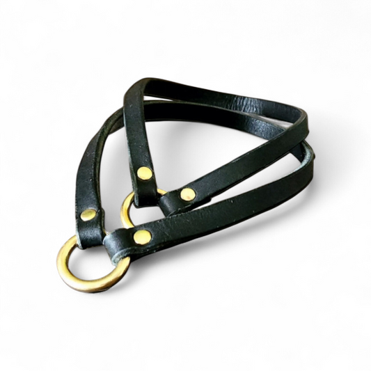 ID & Medical ID Leather Collars