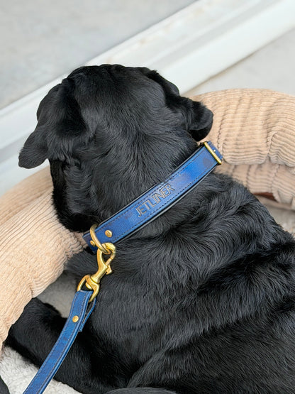 25mm Middle d ring leather dog collars