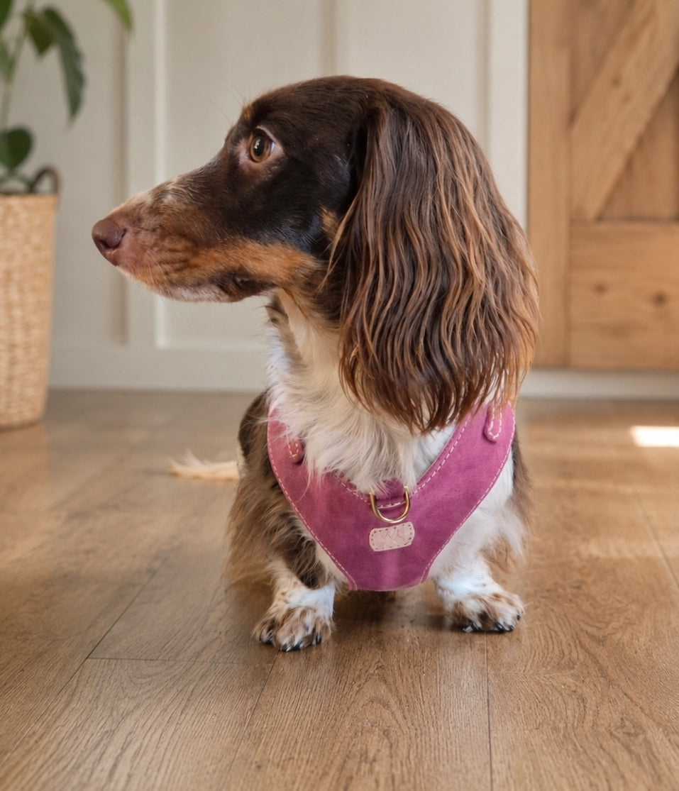 "Amelia" Pink Australian leather dog harness
