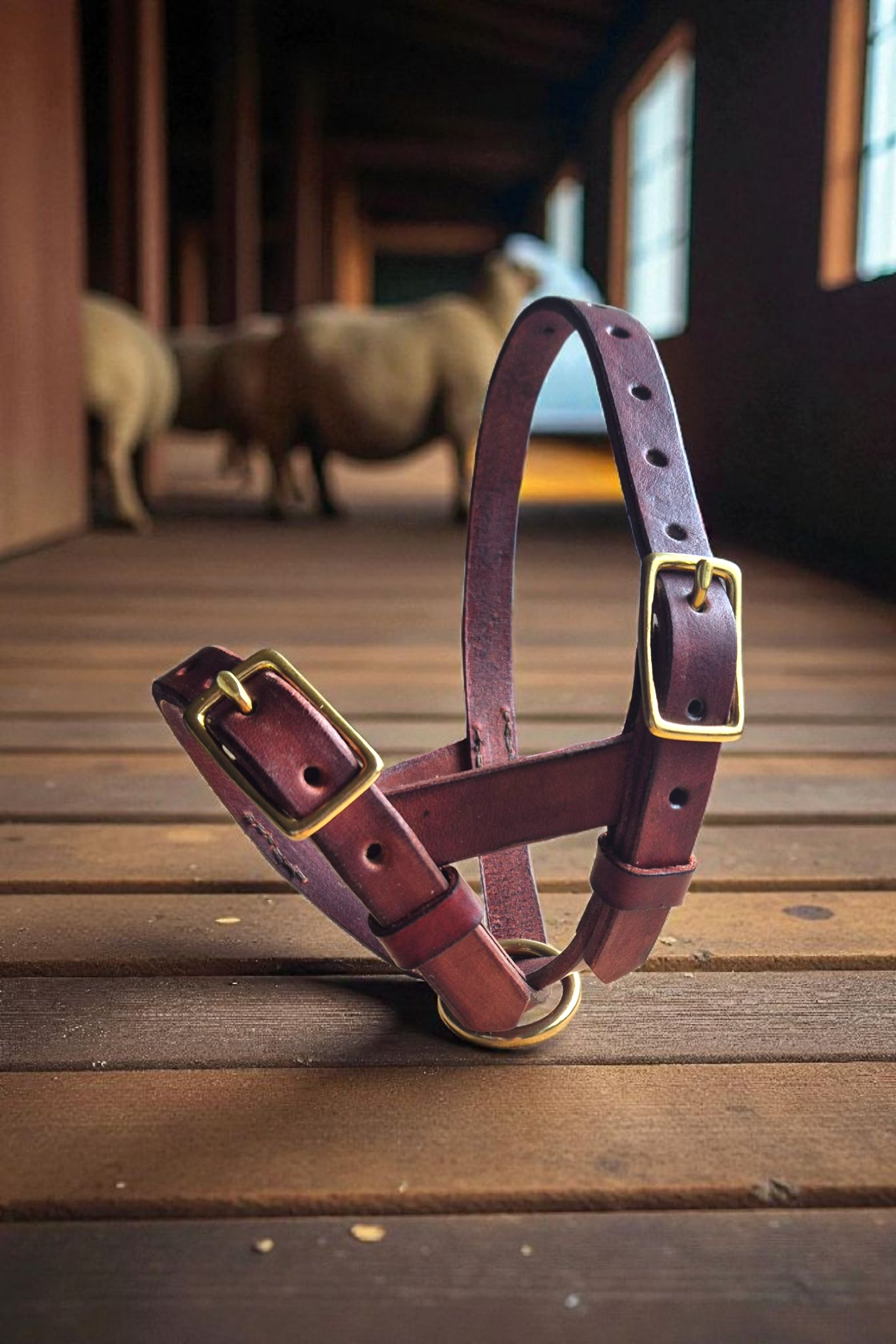 Bucket style Sheep halters