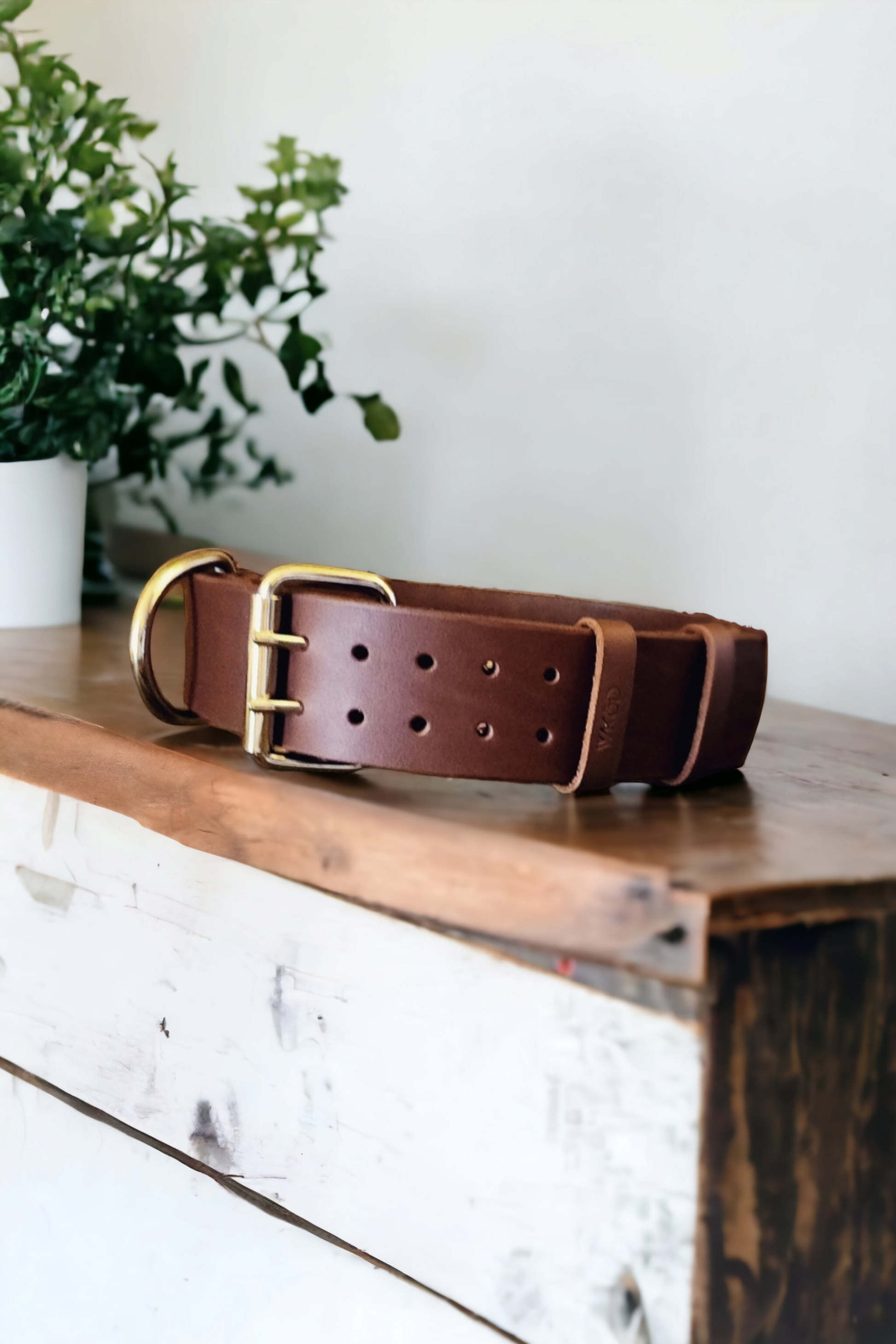 Wide leather dog 2024 collars