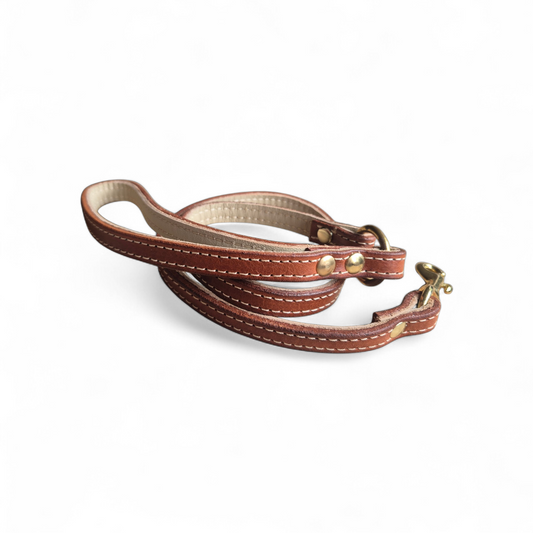1.2cm wide lined lightweight leashes