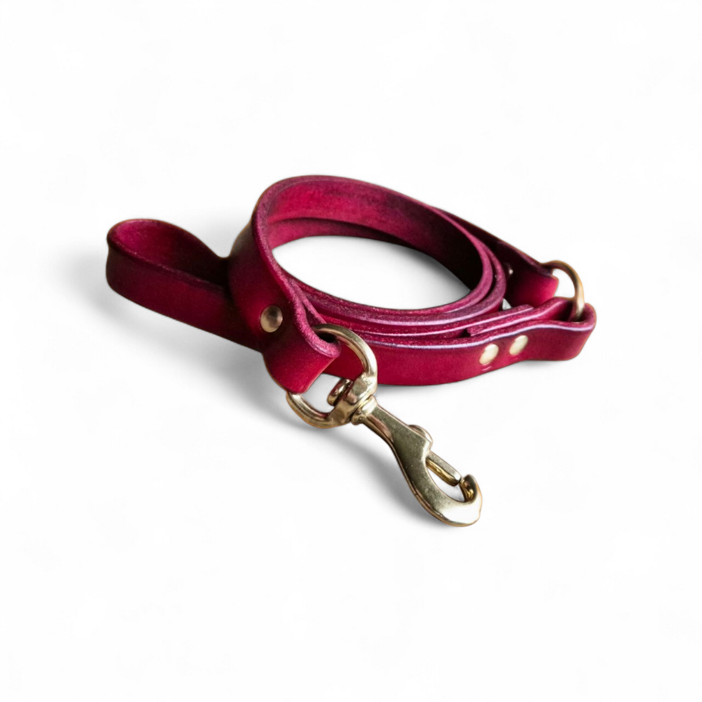 2 meter long leashes