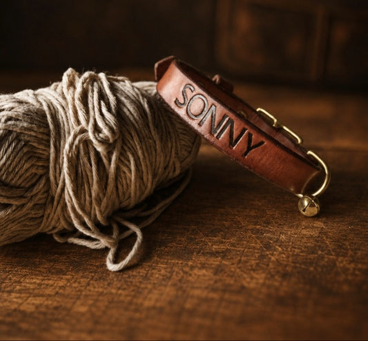 Leather Cat collars with bell