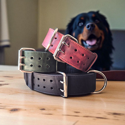 Lined 2 INCH wide collars