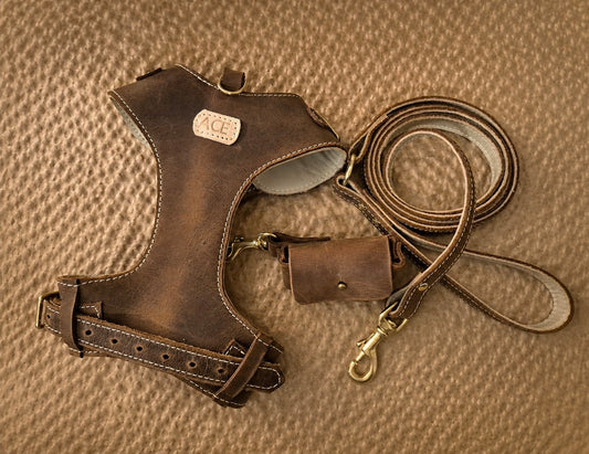 "Amelia" Whisky Australian leather dog harness