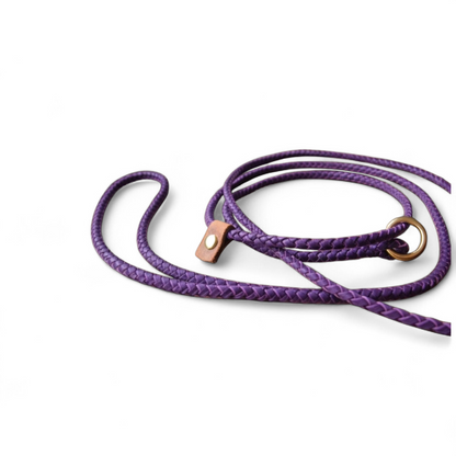 2.5m Hand braided show slip leads