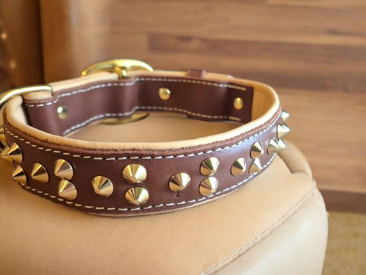 3cm wide studded leather dog collars