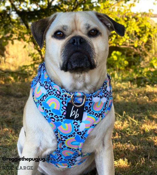 HAPPY GO LUCKY (SKY BLUE) - ADJUSTABLE CHEST HARNESS