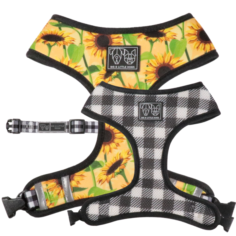 REVERSIBLE DOG HARNESS: Sunny Vibes