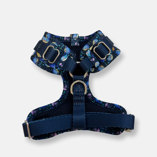 BB UNDER THE SEA - ADJUSTABLE CHEST HARNESS